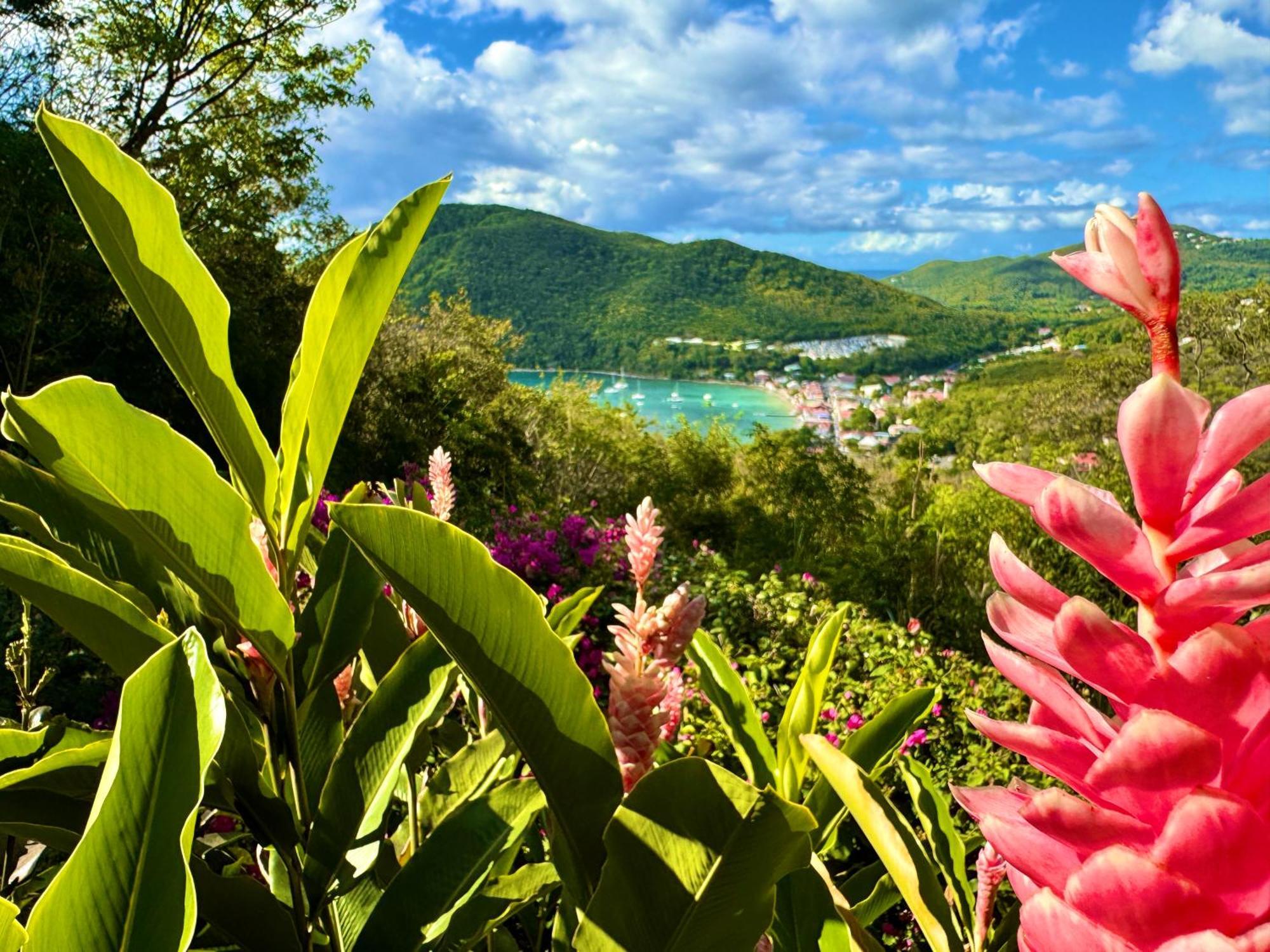 Au Jardin Des Colibris Ecolodge&Spa Deshaies Exteriör bild